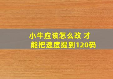 小牛应该怎么改 才能把速度提到120码